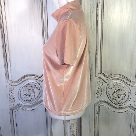 MADEWELL Soft Dusty Blush Mock Turtleneck Short Sleeve Valor Pullover Top Size S - Picture 7 of 9